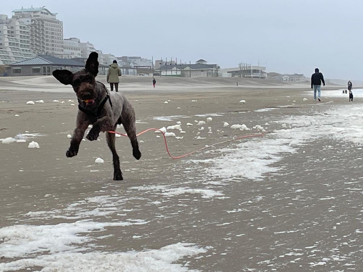 Zeebedstay Noordwijk